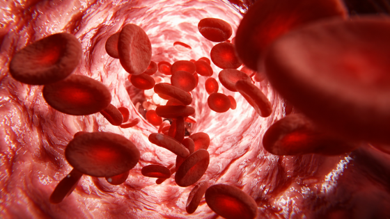 Una startup afferma di aver trovato due farmaci per “ringiovanire” il sangue