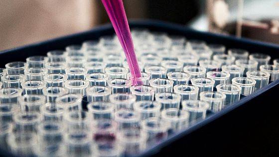 Sempre più donne scelgono di congelare i propri ovuli