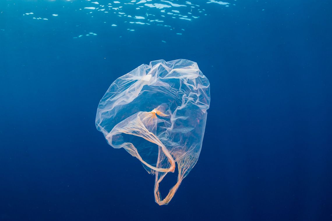 Il mondo si mobilita contro l’inquinamento da plastica