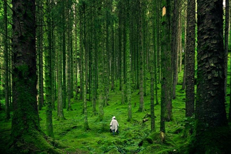 Ripartire dalla natura: un’opzione presente per adattarsi al clima futuro 