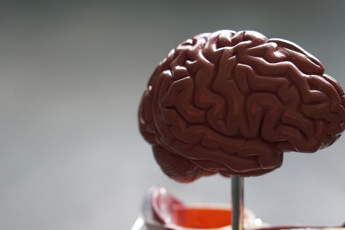 World Alzheimer Report: le sfide per migliorare la vita dei malati e delle famiglie