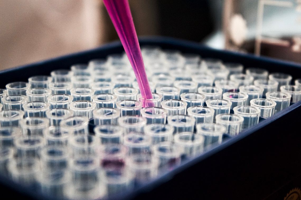 Il futuro degli embrioni artificiali: progressi scientifici e dilemmi etici