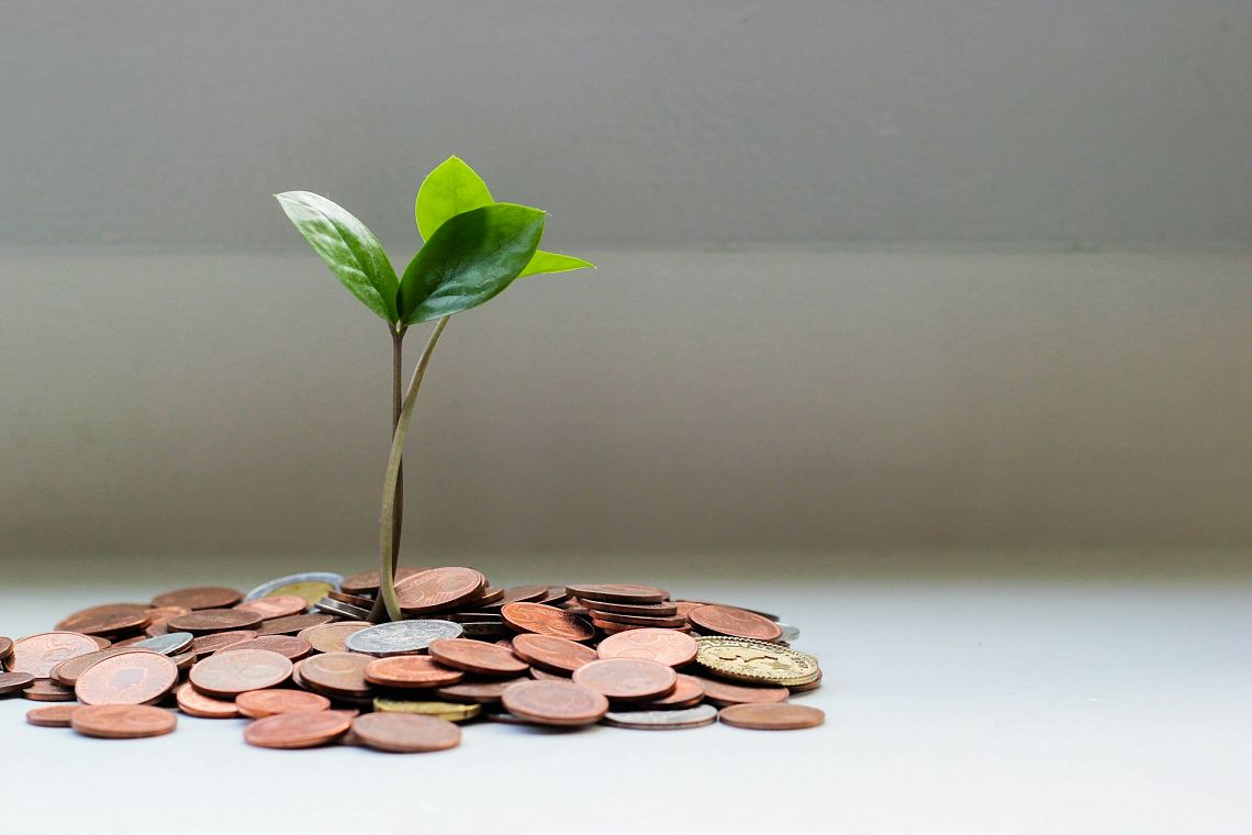Le sfide dell’euro nel contesto della trasformazione socio-ecologica
