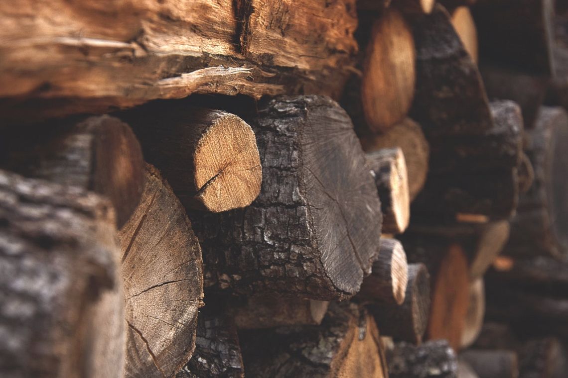 Il legno indurito potrebbe rivelarsi un’alternativa sostenibile all’acciaio