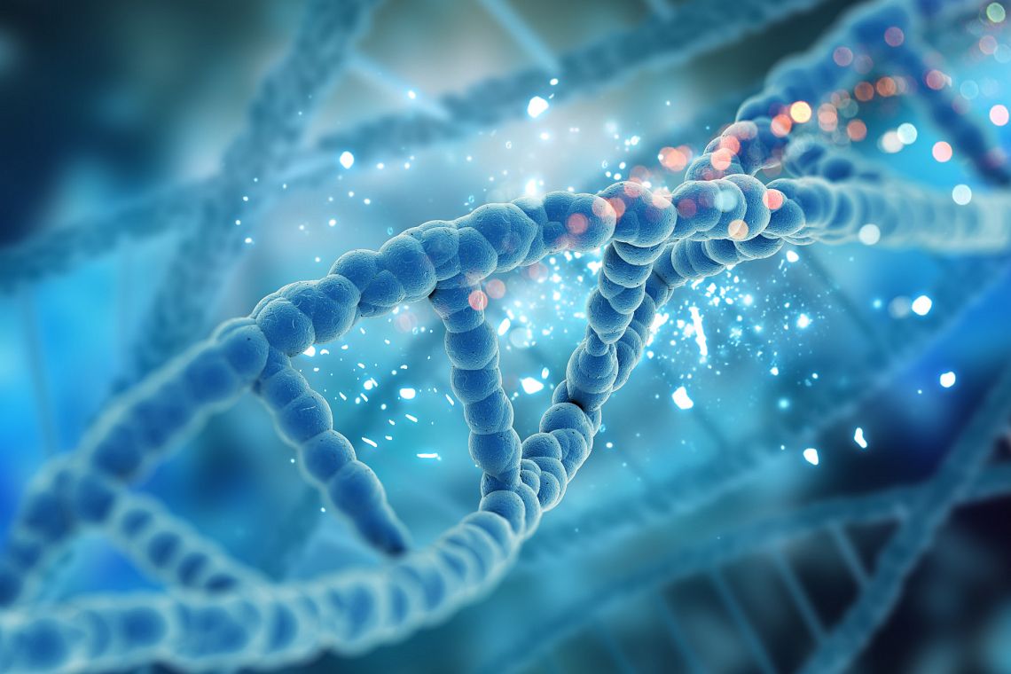 I bambini del CRISPR-Cas9