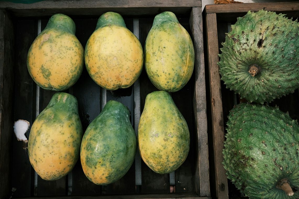 E se potessimo ricavare il carburante per aerei dai frutti tropicali? 