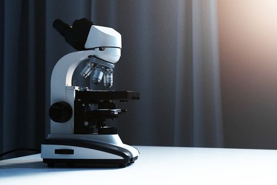 Intelligenze artificiali per scoprire le mutazioni nei virus
