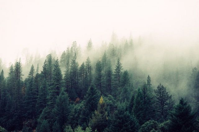 Scalare la decarbonizzazione