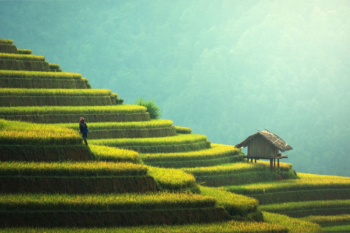 Dietro gli annunci della Cina: più crescita verde che lotta alle emissioni