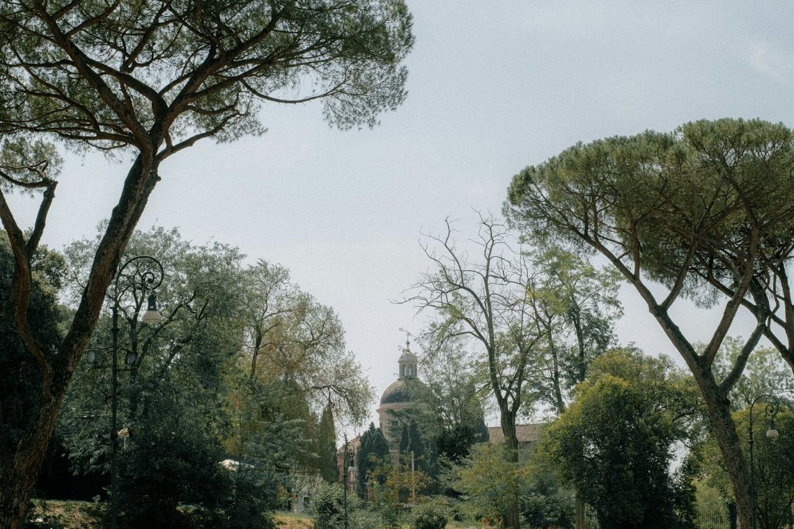 Roma sempre più digitale, al via il “gemello virtuale” per gli alberi