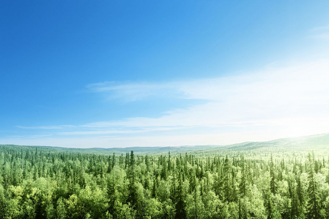 Con il giusto mix di politiche, dalla natura 20 milioni di nuovi posti di lavoro