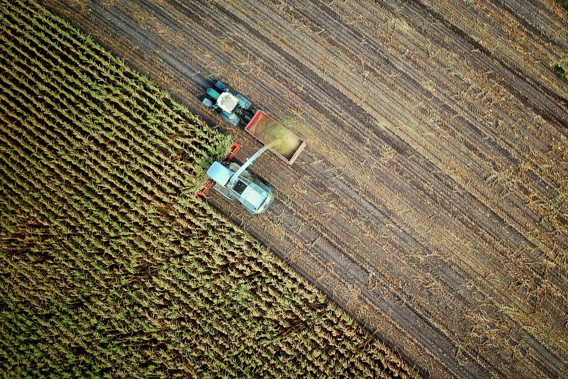 Il difficile percorso per un’agricoltura ecologica ed economicamente sostenibile