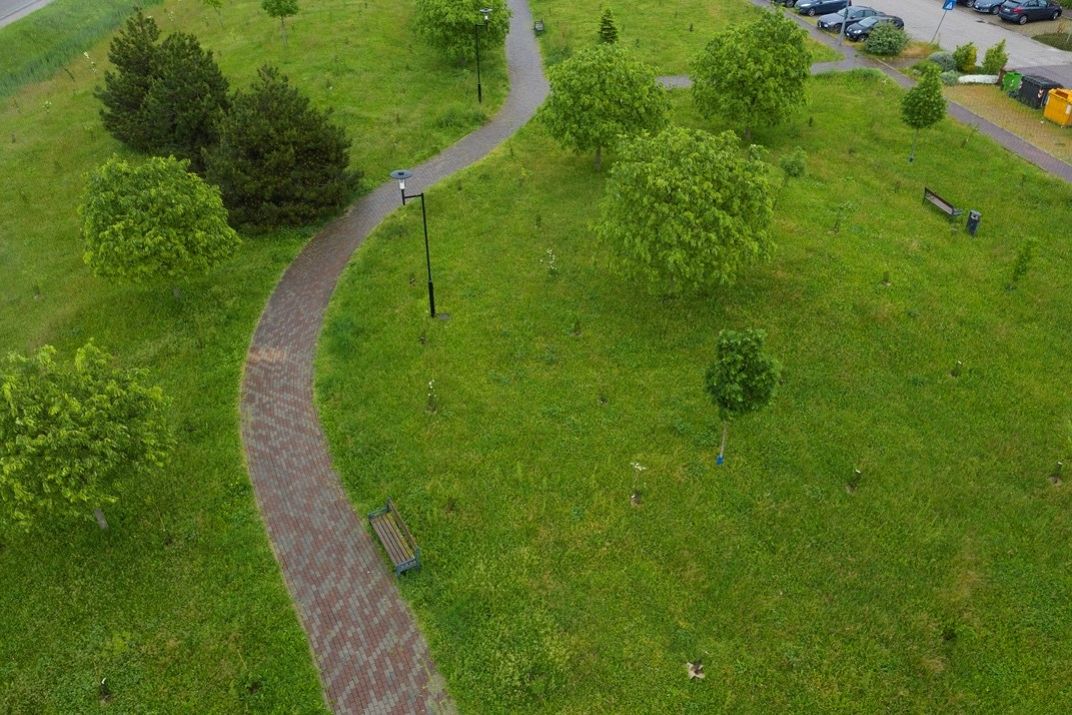 Il ruolo della forestazione urbana nel contrasto al cambiamento climatico