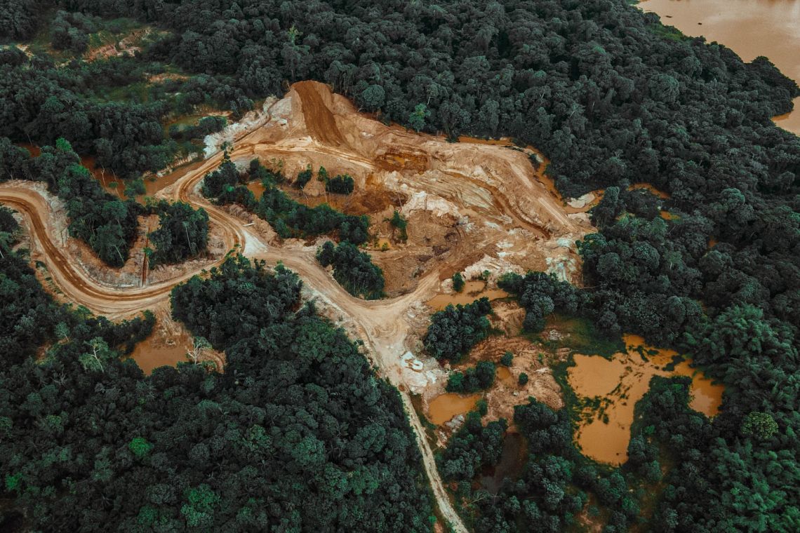 Per la deforestazione mondiale un’inversione di tendenza ancora troppo lenta