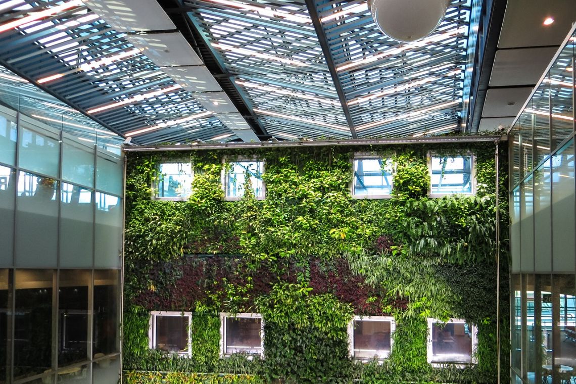 Finanza green: come evitare di andare incontro al “cigno verde”