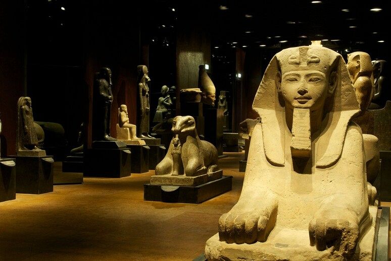 Museo dei futuri: quarta puntata a tema