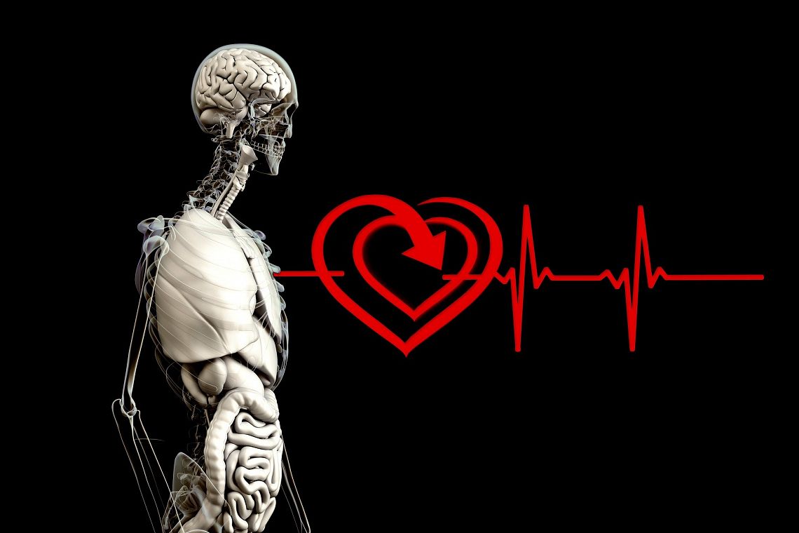 Robot, famiglie numerose, polmoni in 3D e super-cervelli nel futuro secondo la Bbc