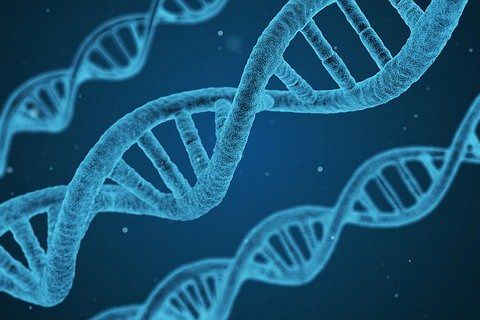 Si avvicinano le medicine a base di Crispr