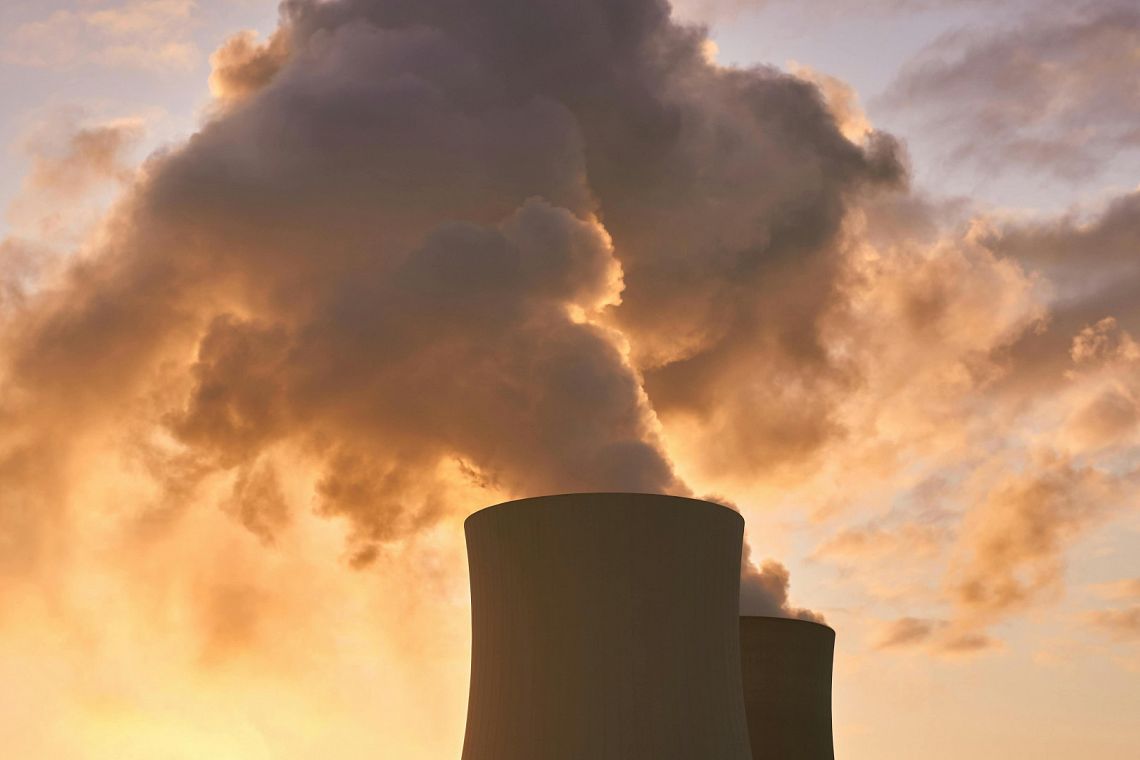 La perdita di biodiversità rappresenta un enorme rischio per imprese e finanza