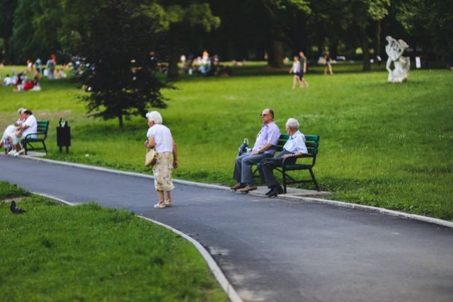 Le responsabilità dei senior