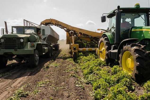 Dall'agricoltura bio agli umani bio