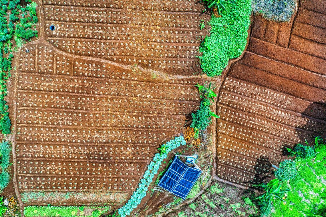 Il Brasile sperimenta i “quartieri agricoli” nelle città: ecco gli “Agrihood”