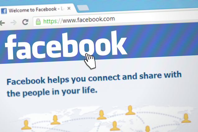 Fakebook, hatebook, adbook e altre piattaforme