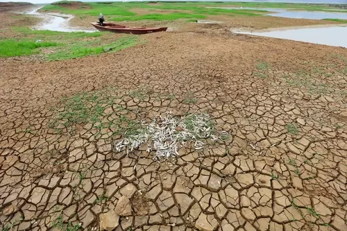 “Salva il Suolo”: ecco la nuova mappa per capire l’entità futura del degrado della terra